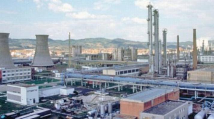 Guvernul acordă un ajutor de 40 mil. euro Oltchimului